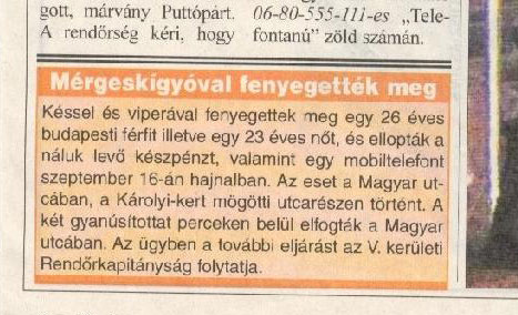 Kép